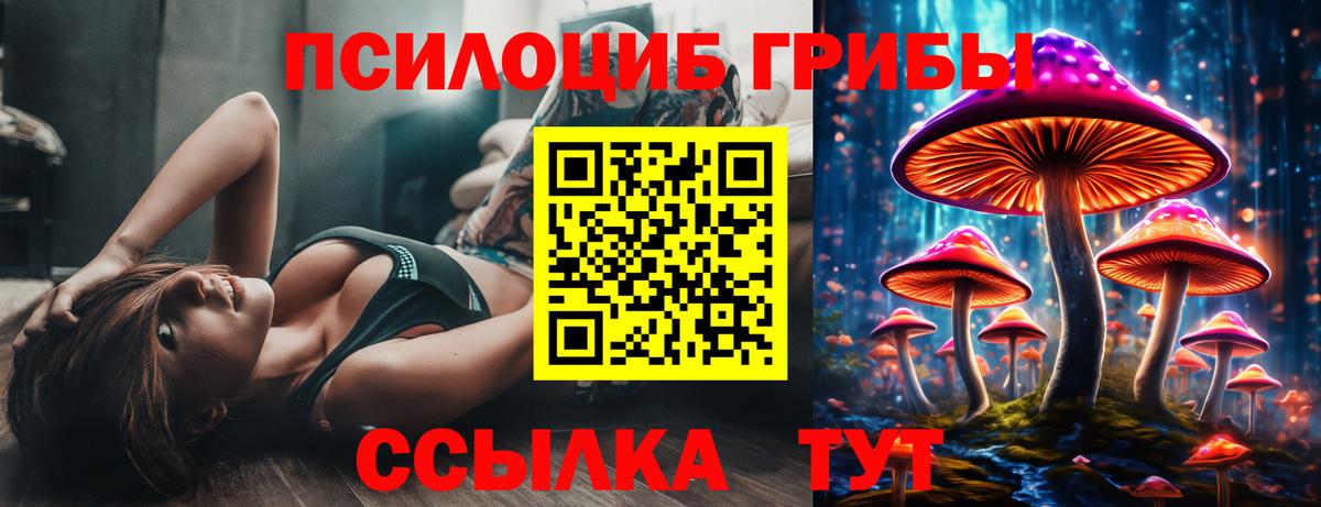 Волоколамск  цена наркотик  Вход с VPN  Галлюциногенные грибы прущие грибы 